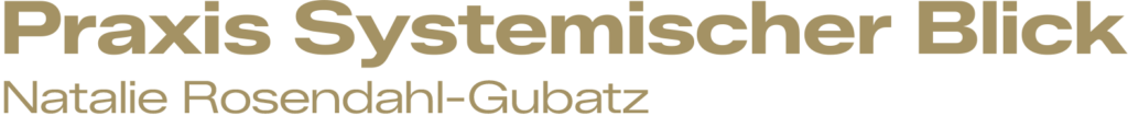 Praxis Systemischer Blick